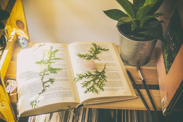 creating homeschooling curriculum - VMH